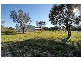 155 RIVERSIDE DRIVE, Furnissdale WA 6210