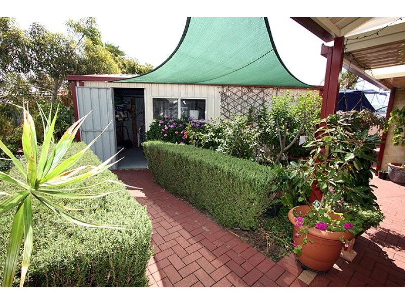 6 Napier Close, Halls Head WA 6210