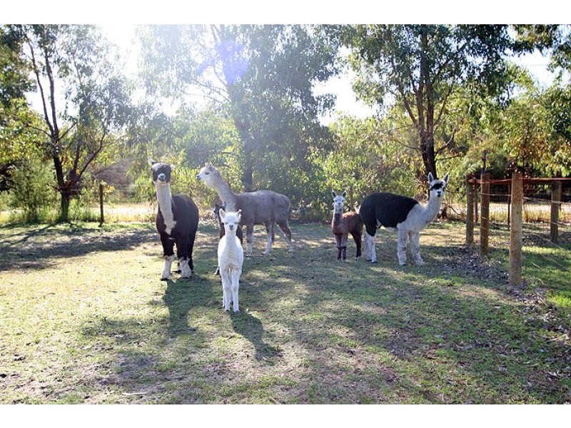 152 Lakelands Road, Mandurah WA 6210