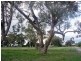 33 Thomasfield Place, Ravenswood WA 6208