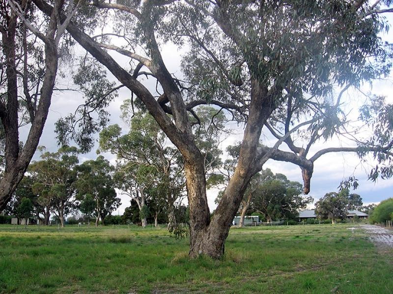33 Thomasfield Place, Ravenswood WA 6208