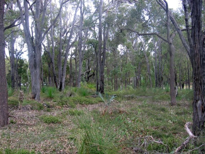 33 Lyons Road, Waroona WA 6215