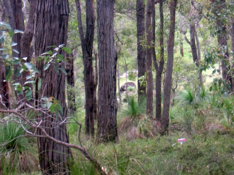 33 Lyons Road, Waroona WA 6215