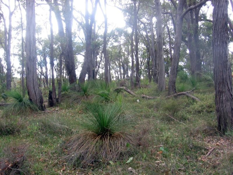 33 Lyons Road, Waroona WA 6215