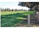 453 Brockman Road, Waroona WA 6215