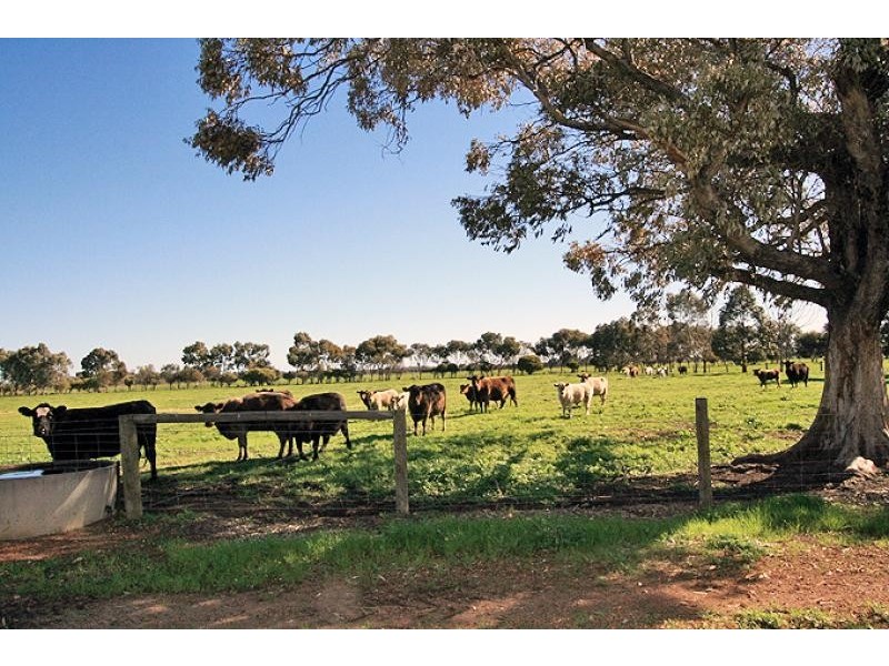 453 Brockman Road, Waroona WA 6215
