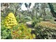 1989 Lakes Road, North Dandalup WA 6207