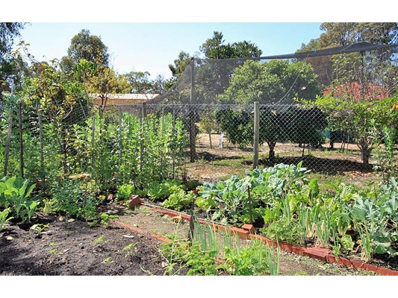 24 Candelo Loop, Greenfields WA 6210