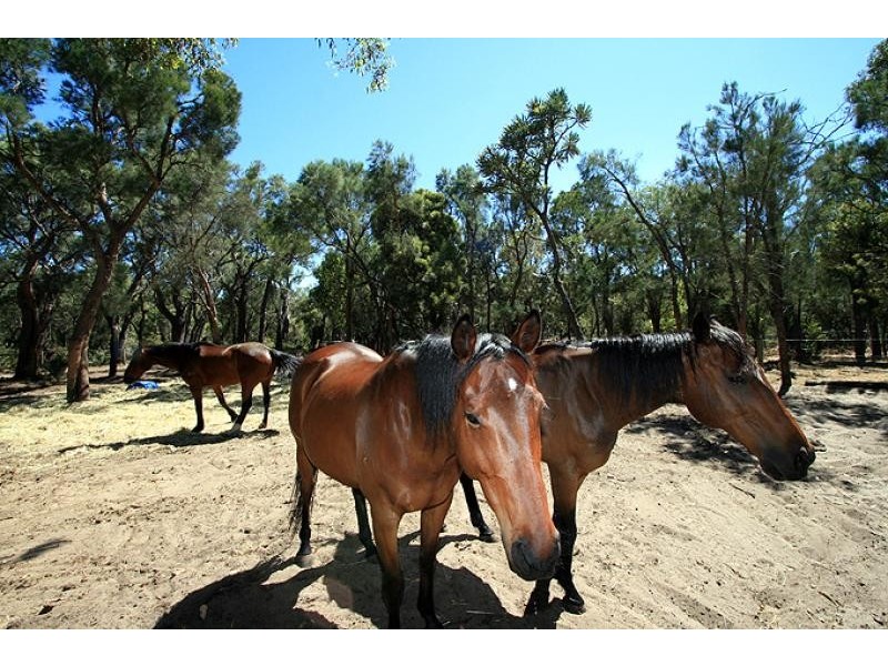 18 Bouvard Drive, Bouvard WA 6211