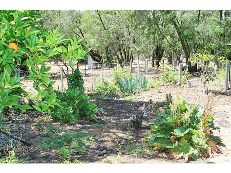 4 Tallangatta Place, Bouvard WA 6211