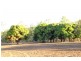 59 Mount Stowe Road,  YARWUN, Gladstone QLD 4680
