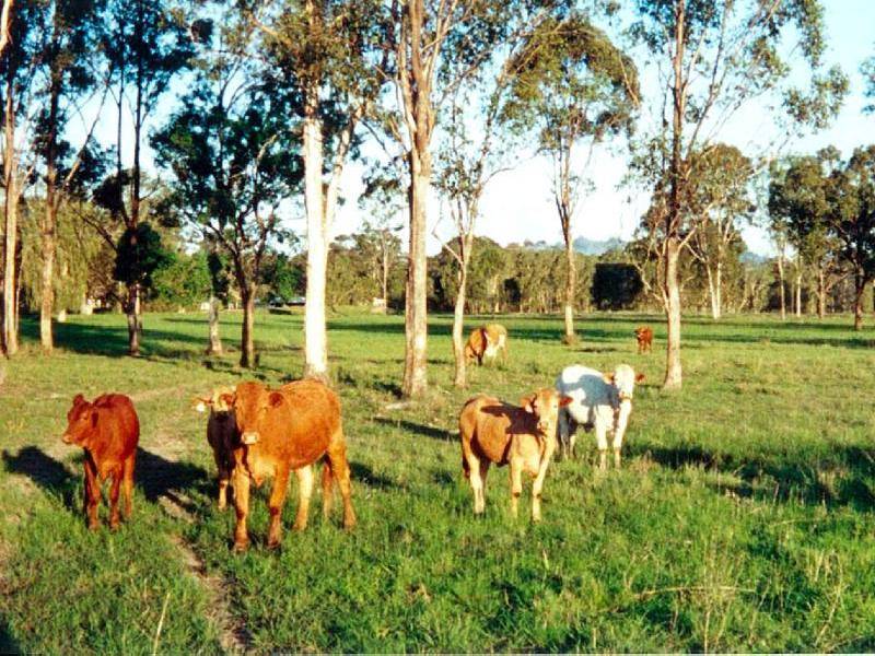 400 MONTO ROAD, Calliope QLD 4680