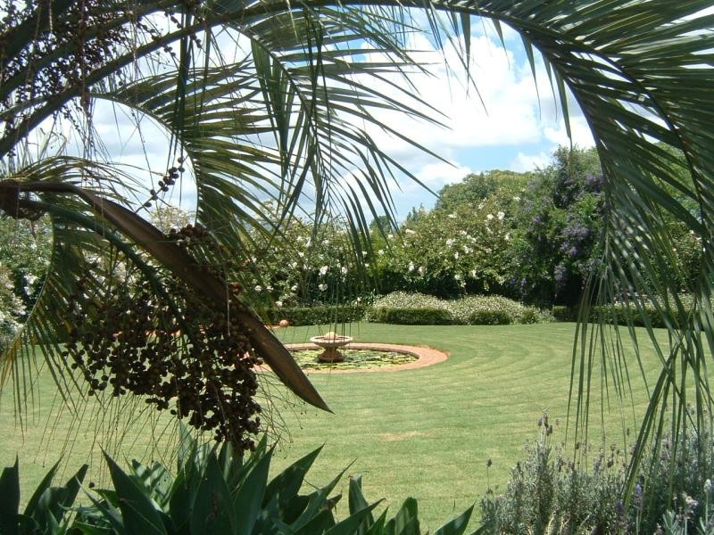 139 WALLABY TRACK, Mount Larcom QLD 4695