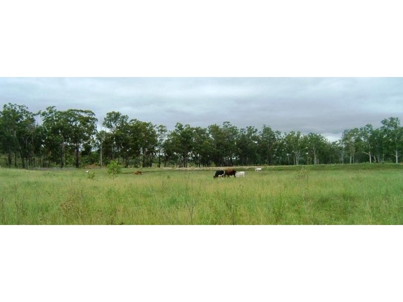 305 GENTLE ANNIE ROAD, Mount Larcom QLD 4695