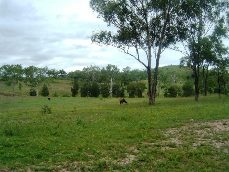 305 GENTLE ANNIE ROAD, Mount Larcom QLD 4695