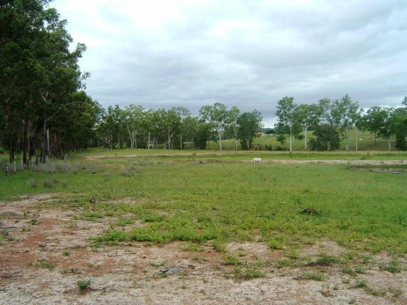 305 GENTLE ANNIE ROAD, Mount Larcom QLD 4695