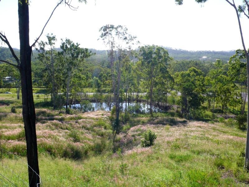 20 Haddock Drive, Beecher QLD 4680