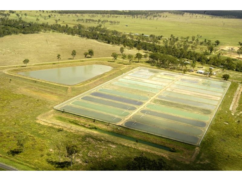 3136 Dawson Highway, Calliope QLD 4680