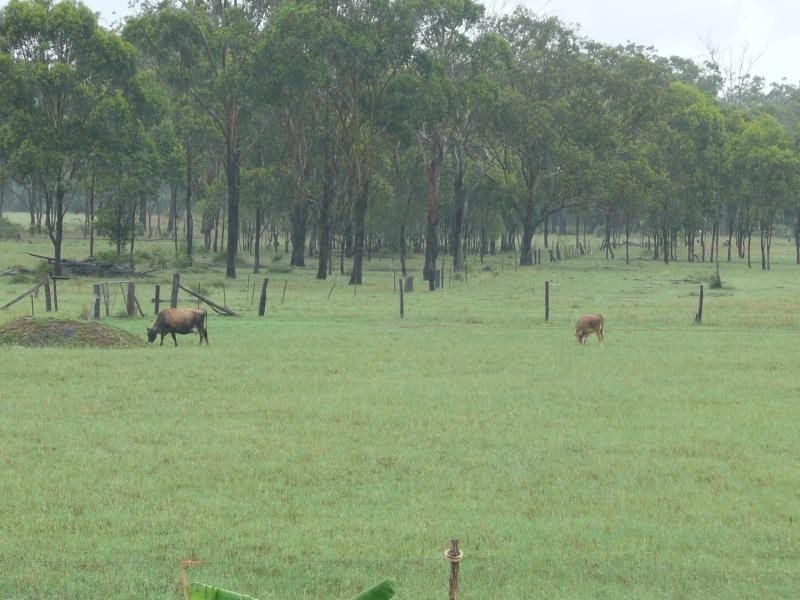 60 Raglan Station Road, Ambrose QLD 4702