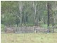 60 Raglan Station Road, Ambrose QLD 4702