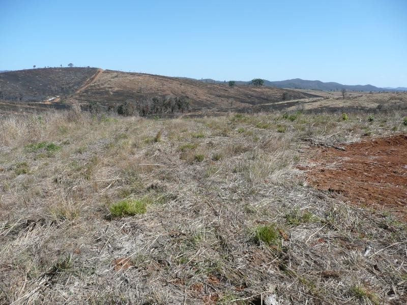 Lot 7 Mt Larcom Bracewell Road, Bracewell QLD 4695
