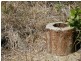 Lot 7 Mt Larcom Bracewell Road, Bracewell QLD 4695