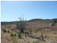 Lot 7 Mt Larcom Bracewell Road, Bracewell QLD 4695
