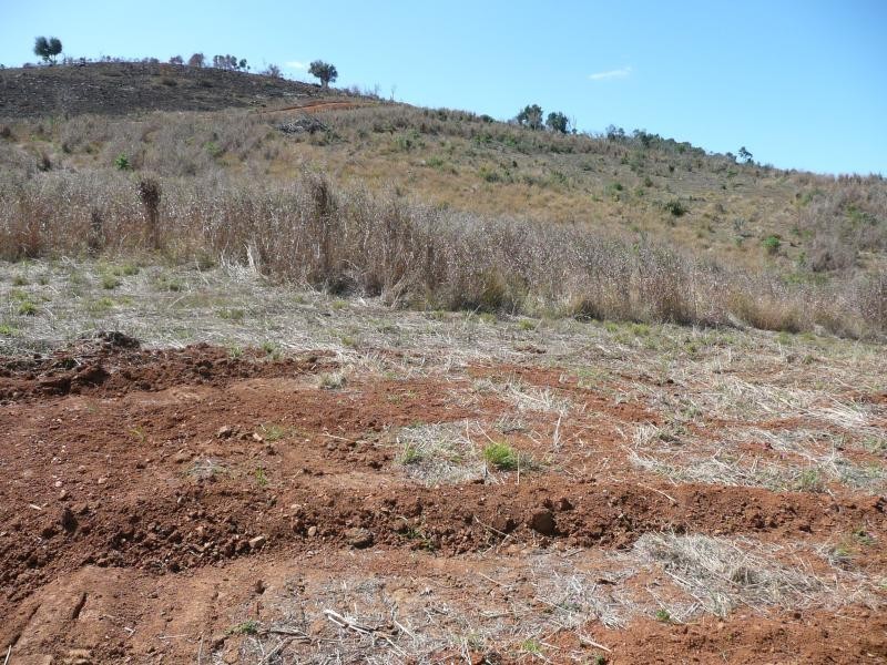 Lot 7 Mt Larcom Bracewell Road, Bracewell QLD 4695