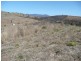 Lot 7 Mt Larcom Bracewell Road, Bracewell QLD 4695