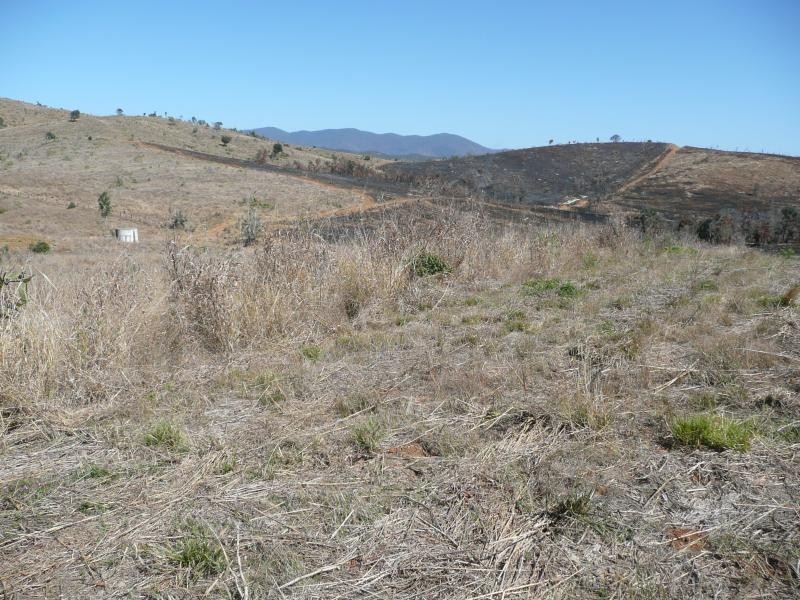 Lot 7 Mt Larcom Bracewell Road, Bracewell QLD 4695