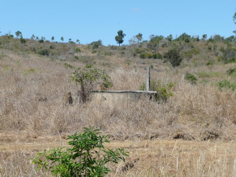 Lot 7 Mt Larcom Bracewell Road, Bracewell QLD 4695