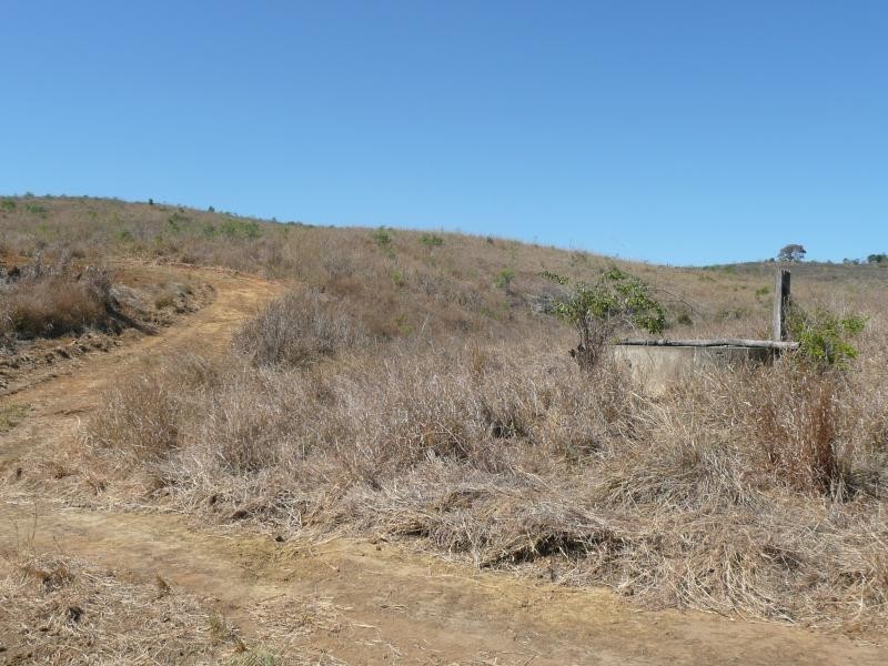 Lot 7 Mt Larcom Bracewell Road, Bracewell QLD 4695