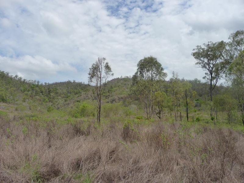 Lot 41/ Hourigan Creek Road, Raglan QLD 4697