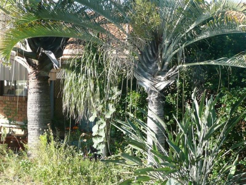 14 Butler Street, Gladstone QLD 4680