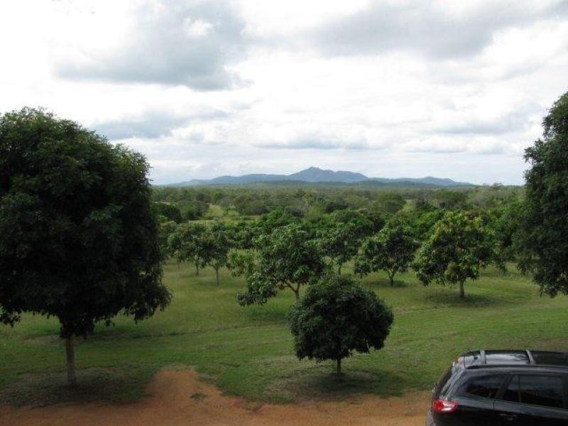 139 Wallaby Track, Mount Larcom QLD 4695