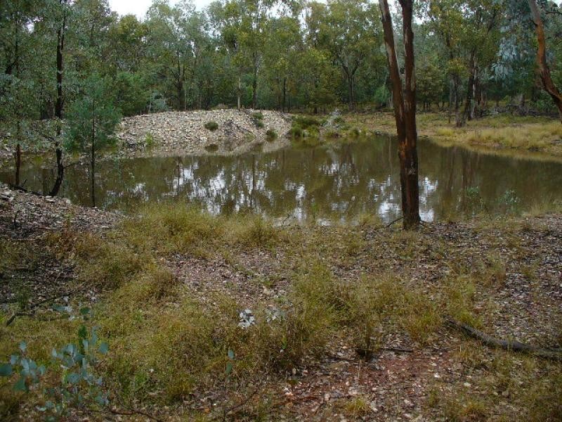 Lot 52/ Oaky Creek-Mundoy Road, Texas NSW 4385
