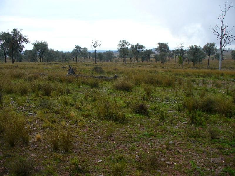 Lot 52/ Oaky Creek-Mundoy Road, Texas NSW 4385