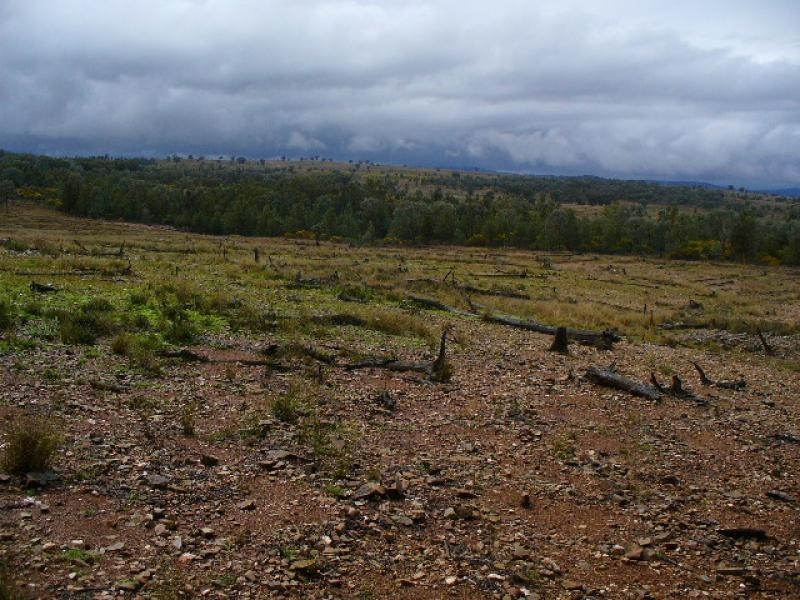 Lot 52/ Oaky Creek-Mundoy Road, Texas NSW 4385