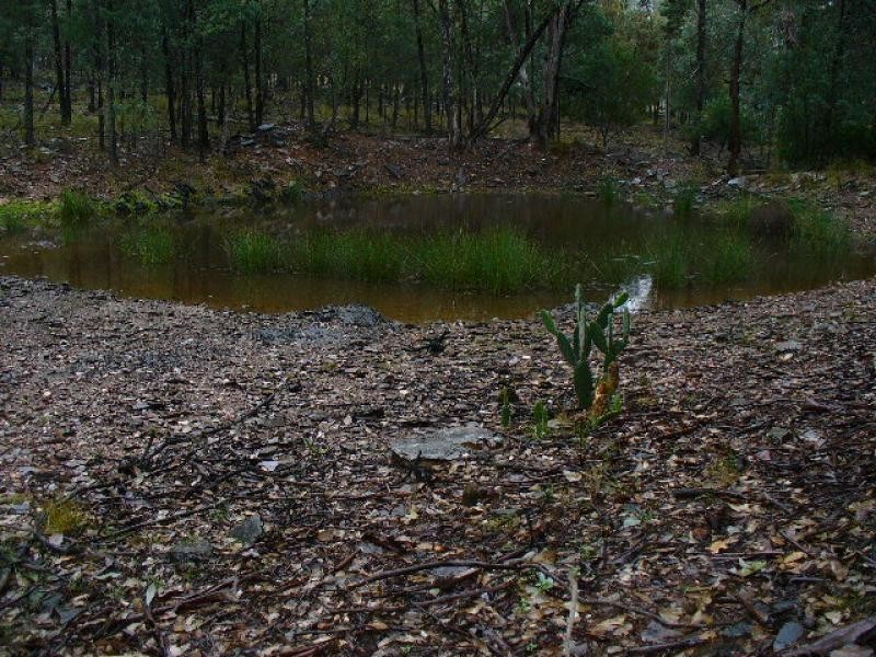 Lot 52/ Oaky Creek-Mundoy Road, Texas NSW 4385