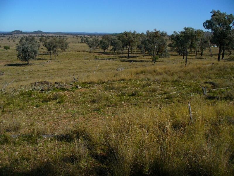 Lot 52/ Oaky Creek-Mundoy Road, Texas NSW 4385