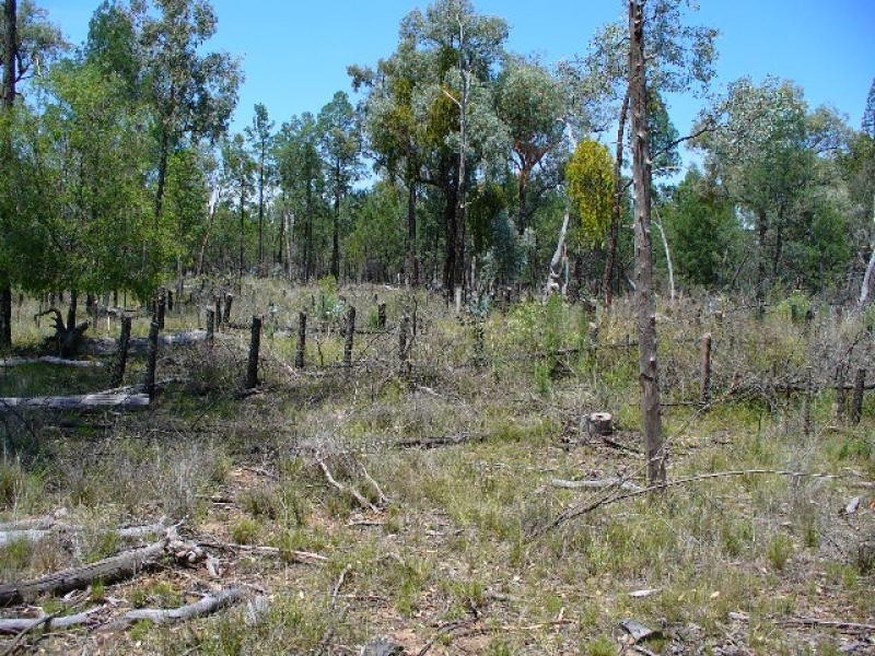 Lot 52/ Oaky Creek-Mundoy Road, Texas NSW 4385