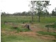 590 Calliope River Road, Gladstone QLD 4680