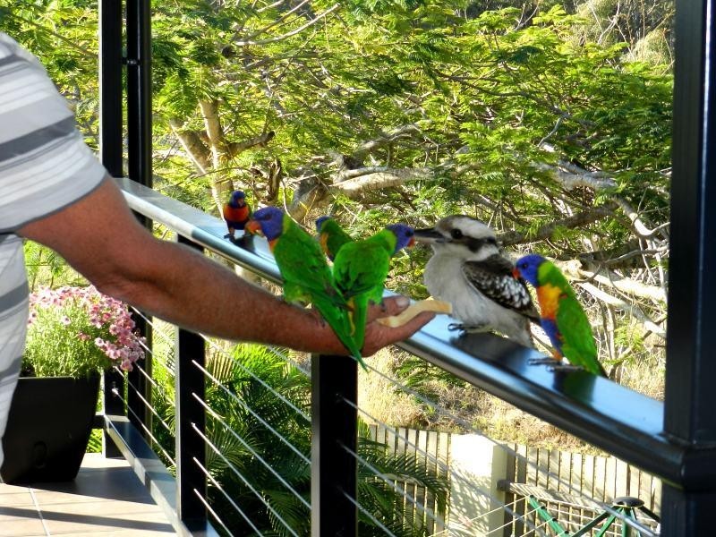 2 Pine Ave, Gladstone QLD 4680