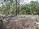Rodds Bay QLD 4678