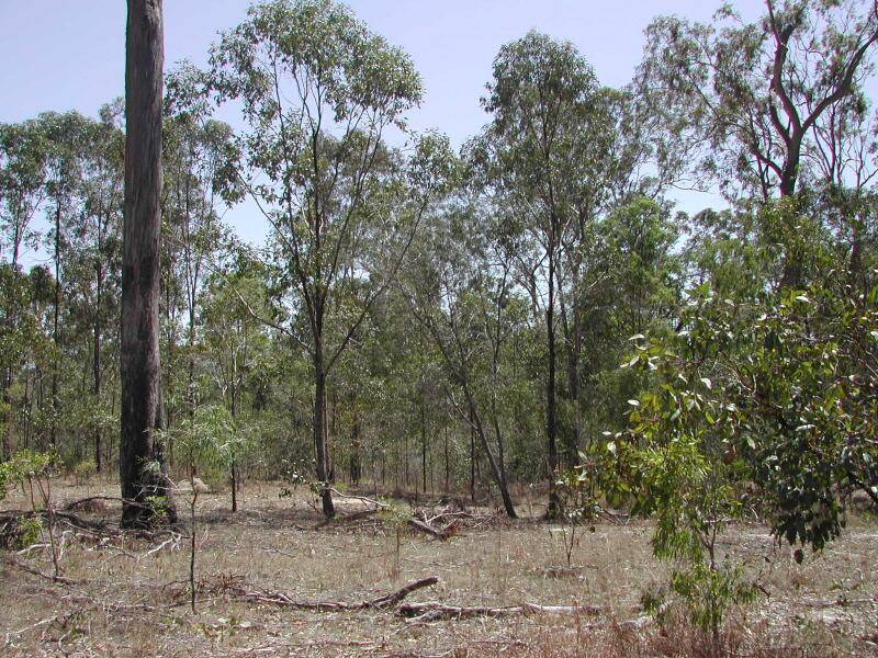 Rodds Bay QLD 4678