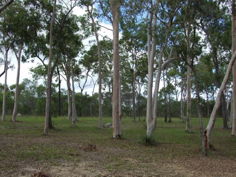 1 Murphy Road, Agnes Water QLD 4677