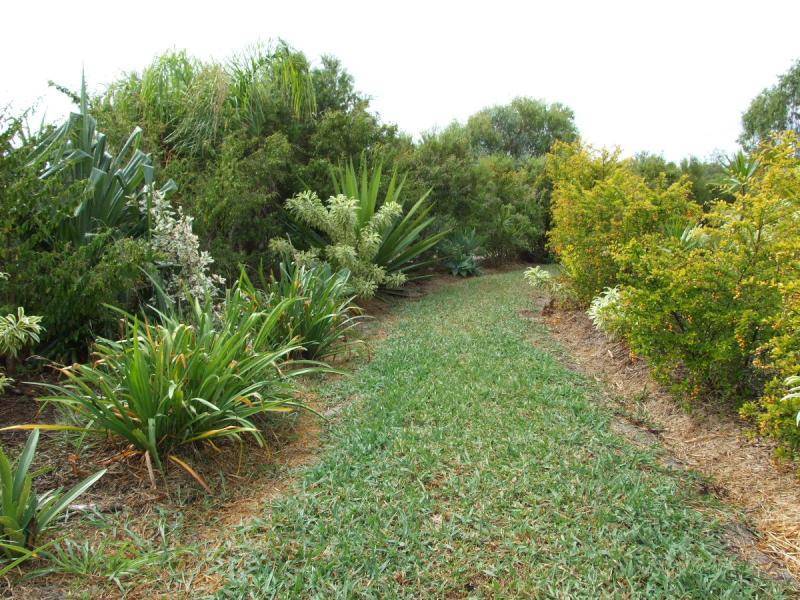 128 STREETER DRIVE, Agnes Water QLD 4677