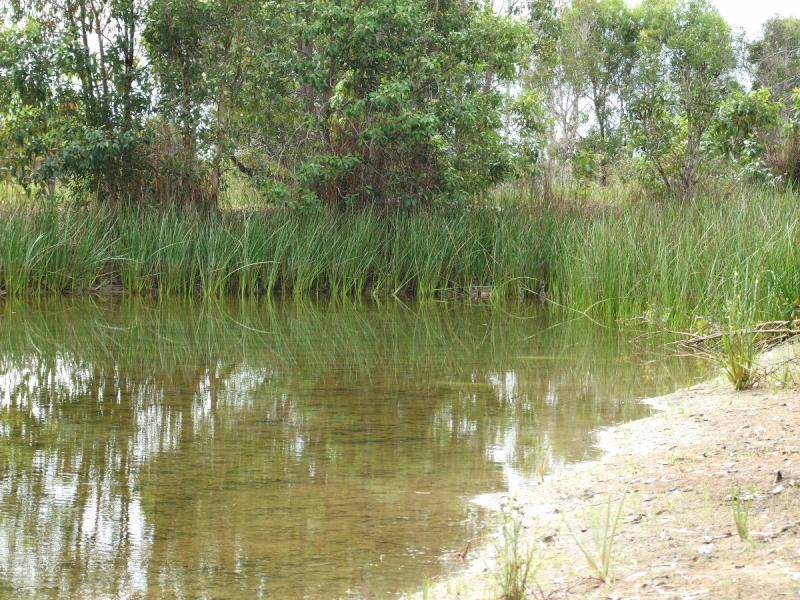 128 STREETER DRIVE, Agnes Water QLD 4677