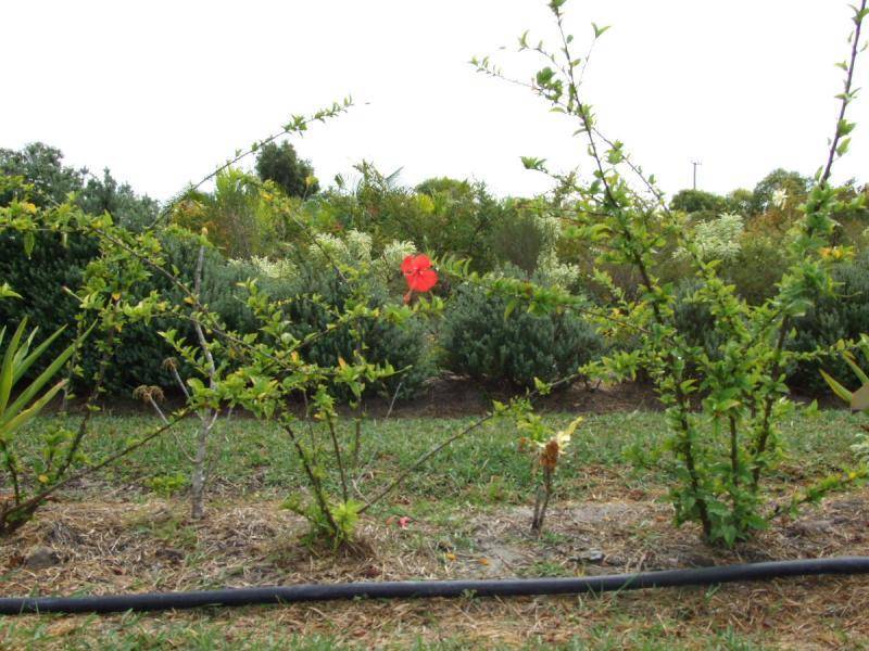 128 STREETER DRIVE, Agnes Water QLD 4677