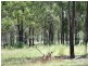 Lot 1/ Unnamed Road, Mount Larcom QLD 4695